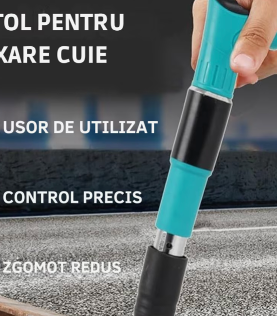 pistol pneumatic +250 cuie